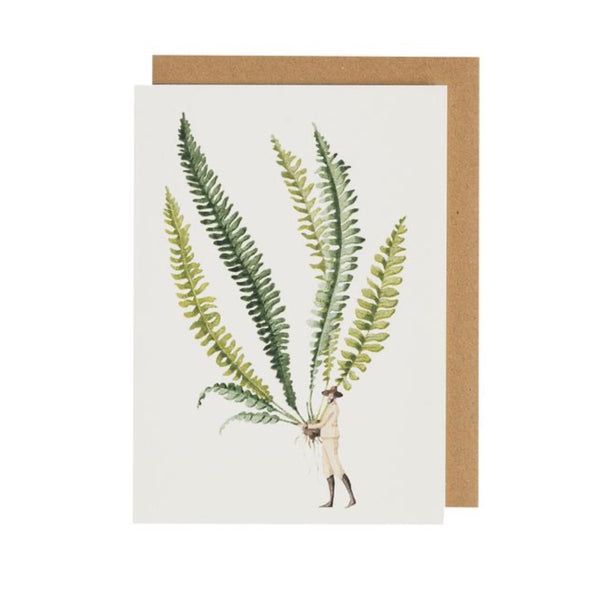 Laura Stoddart Greeting Cards - Fabulous Ferns