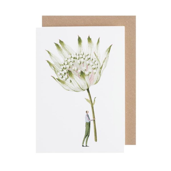 Laura Stoddart Greeting Cards - Blooms