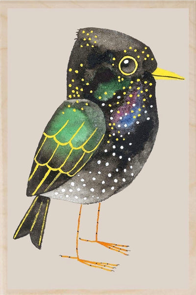 Wooden Postcards - Matt Sewell’s Birds