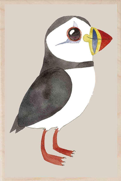 Wooden Postcards - Matt Sewell’s Birds