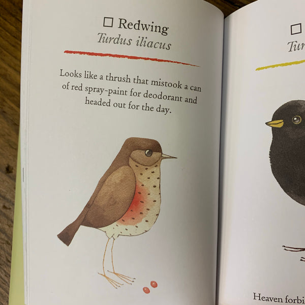 Spotting & Jotting Guide: Our British Birds by Matt Sewell